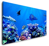 shutterstock_1314375482Nn29SoI0DfXwf_1280x1280.jpg