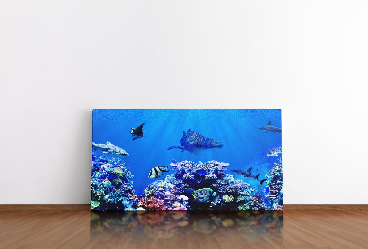 shutterstock_1314375482WeevaJGY0ob3i_1280x1280.jpg