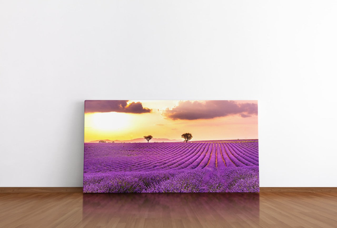shutterstock_1316997776paTkrBs4MMCJV_1280x1280.jpg