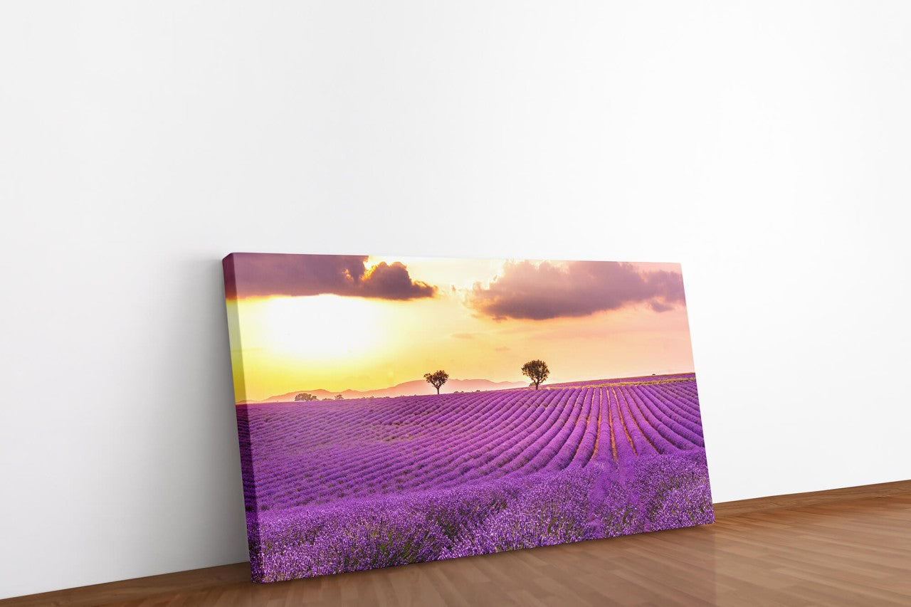 shutterstock_1316997776yMXCuLMaFYviL_1280x1280.jpg