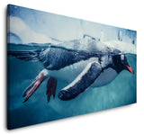 shutterstock_13188664404O2gOz3K4Q1ii_1280x1280.jpg
