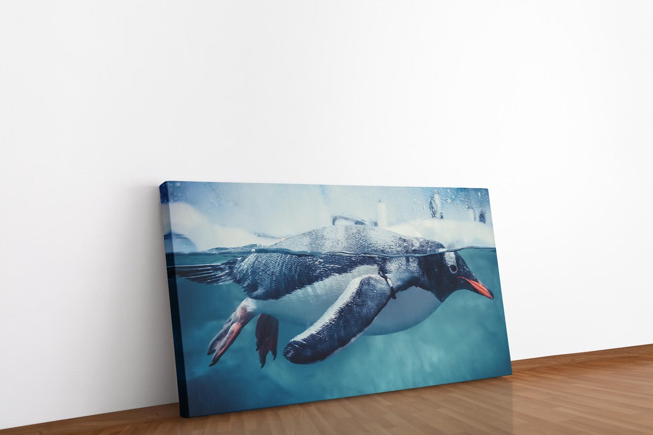 shutterstock_13188664405WhN767O9VnHz_1280x1280.jpg