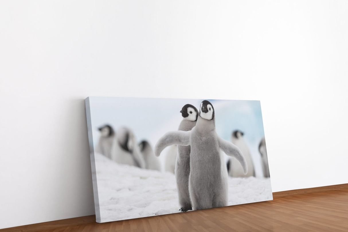 shutterstock_1332182915nE6lWeIHIKEpx_1280x1280.jpg
