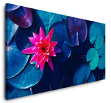 shutterstock_1341590804fjDrGOZBCoRgG_1280x1280.jpg