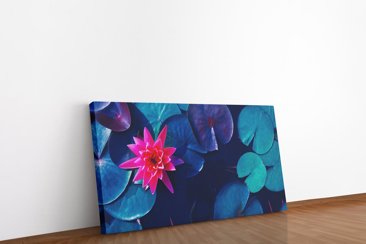 shutterstock_1341590804xIagUcQvCvvco_1280x1280.jpg