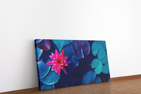 shutterstock_1341590804xIagUcQvCvvco_1280x1280.jpg