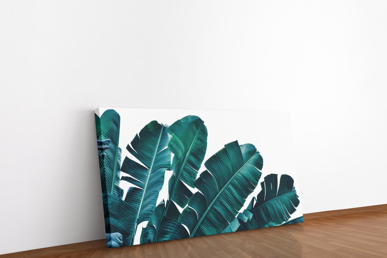shutterstock_13420816918mMsJbv723VCI_1280x1280.jpg