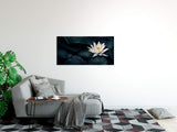 shutterstock_1364445914yU6JCrISpuIJ4_1280x1280.jpg