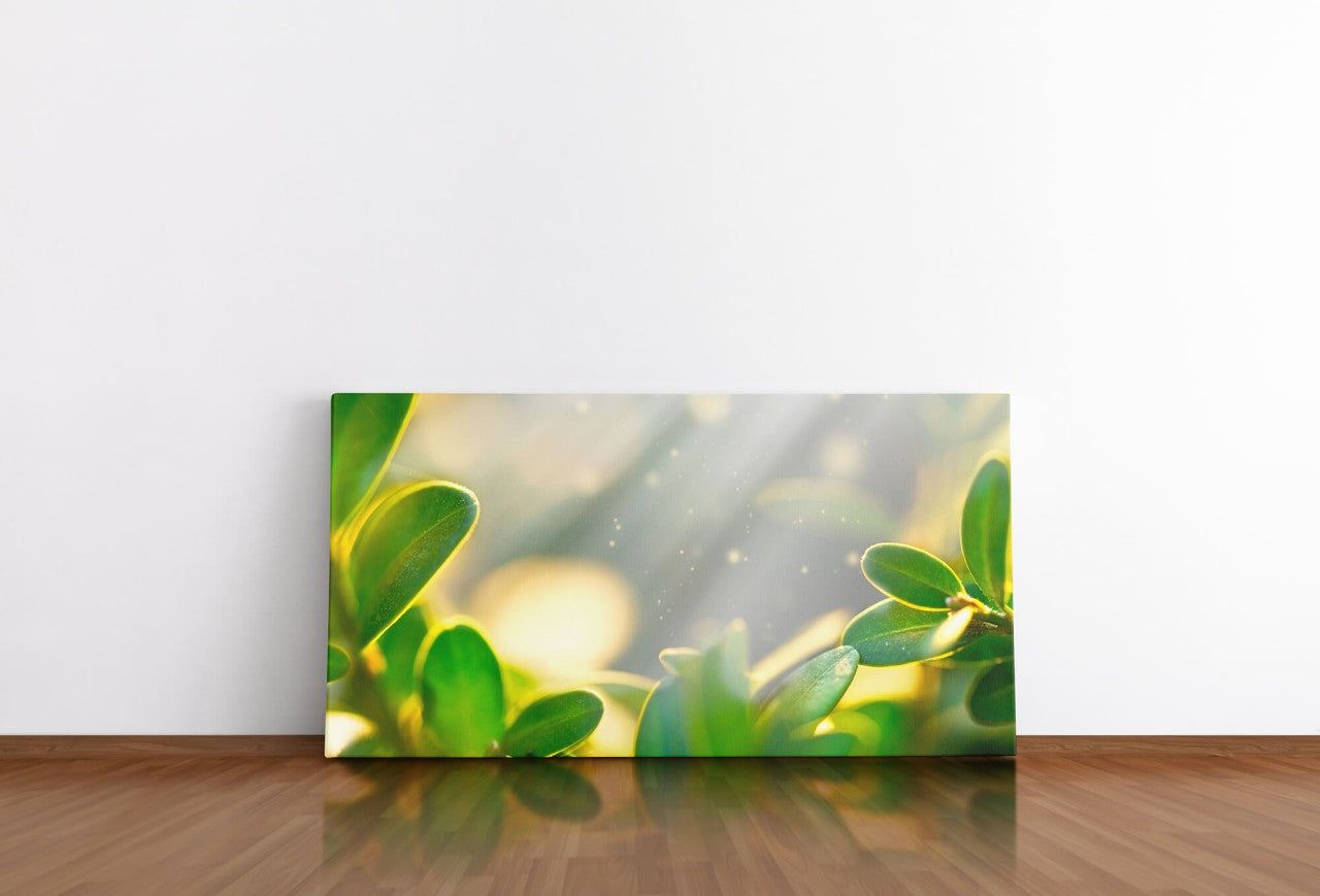 shutterstock_1364870267Fsr5B3YLhdqOb_1280x1280.jpg