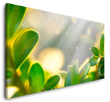 shutterstock_1364870267fAe3Lu7hxwEd6_1280x1280.jpg