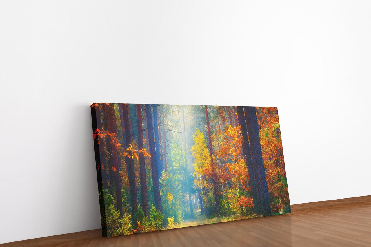shutterstock_1367903459RLv4LfErNqNqp_1280x1280.jpg
