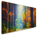 shutterstock_1367903459huewqGa6Ky0zm_1280x1280.jpg