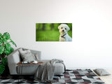 shutterstock_1379134046deHrgTPvqsQG_1280x1280.jpg