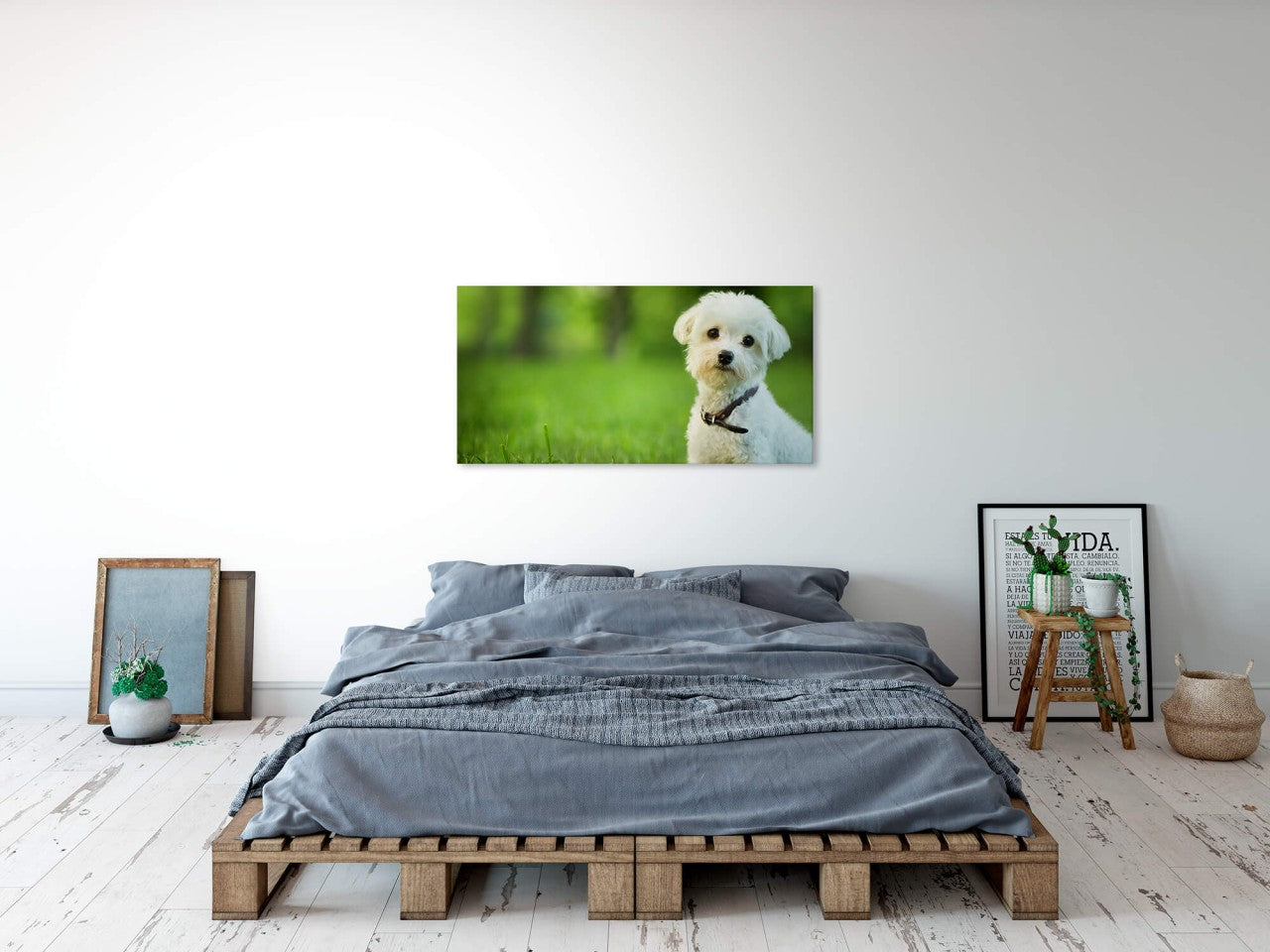 shutterstock_1379134047PIxYb0rIaanM_1280x1280.jpg