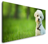 shutterstock_137913404DNkvD4w7JFQhG_1280x1280.jpg