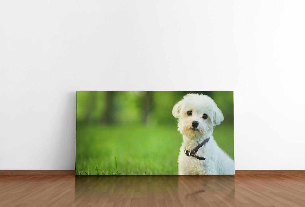 shutterstock_137913404QHytiI4Z2fUcs_1280x1280.jpg