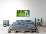 shutterstock_137913404m7VzxebCML1U5_1280x1280.jpg