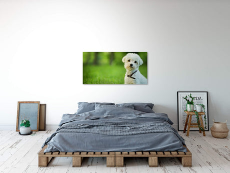 shutterstock_137913404m7VzxebCML1U5_1280x1280.jpg