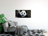 shutterstock_1390386575KYHHRKFQ6QrvW_1280x1280.jpg