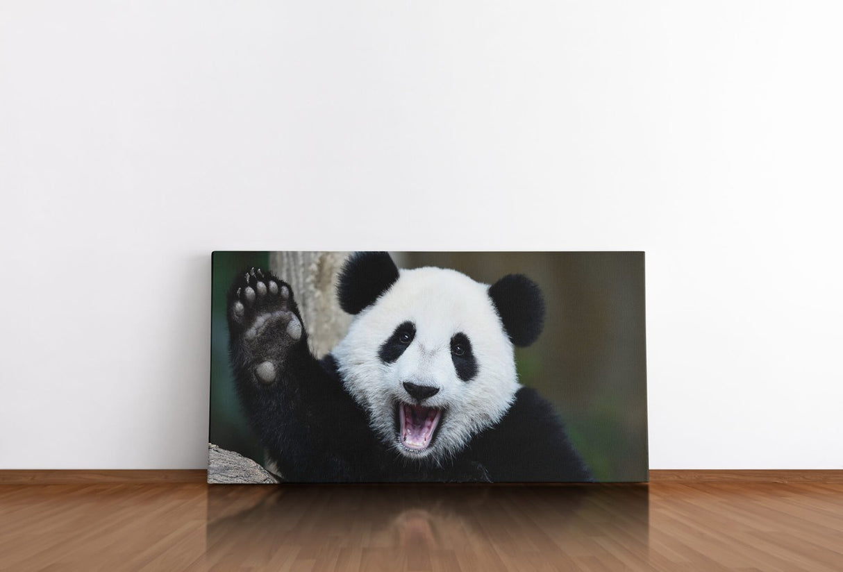 shutterstock_1390386575x8TR4BJkK4lmI_1280x1280.jpg