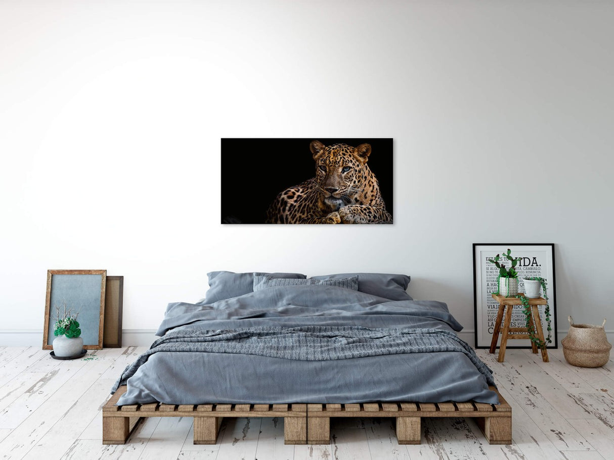 shutterstock_1407316988ochd55X8bXfzn_1280x1280.jpg