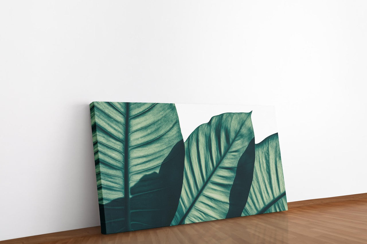 shutterstock_14091938278ytwi3byy0HoJ_1280x1280.jpg