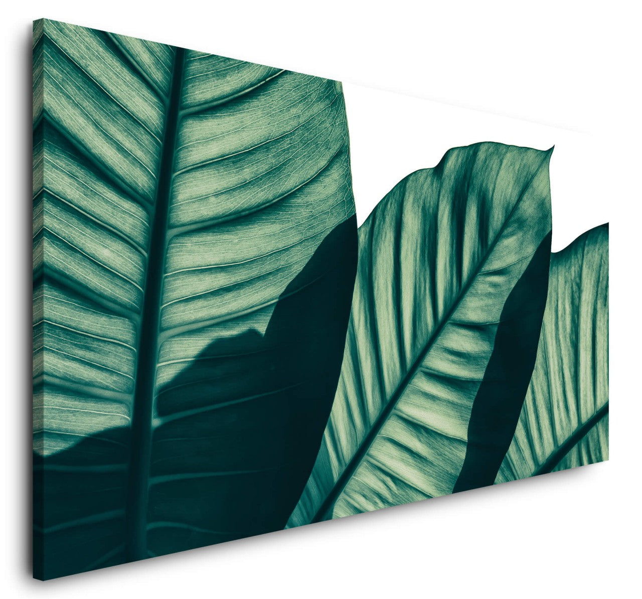 shutterstock_1409193827E2Lor8s9LlhXR_1280x1280.jpg
