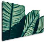 shutterstock_1409193827E2Lor8s9LlhXR_1280x1280.jpg