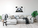 shutterstock_1419182372WrSyagFY4Dtyi_1280x1280.jpg