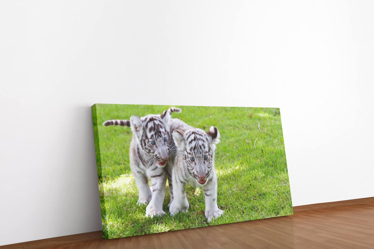 shutterstock_14202898681b2moo3H59PF_1280x1280.jpg