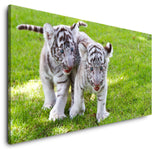 shutterstock_142028986NM842RJFqc4na_1280x1280.jpg