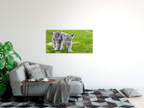 shutterstock_142028986SJl3Tz35ZpMrh_1280x1280.jpg