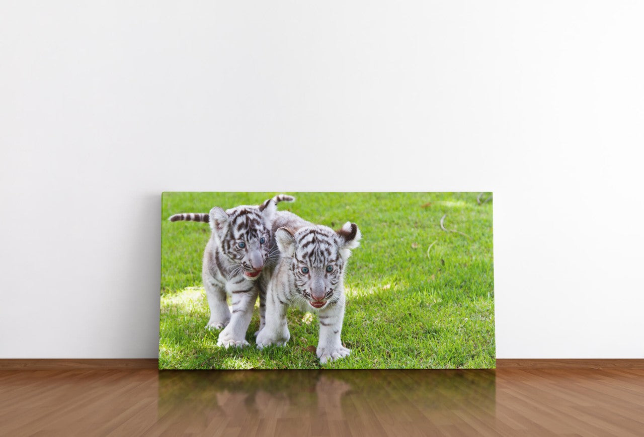 shutterstock_142028986rfRpwbGydplFH_1280x1280.jpg