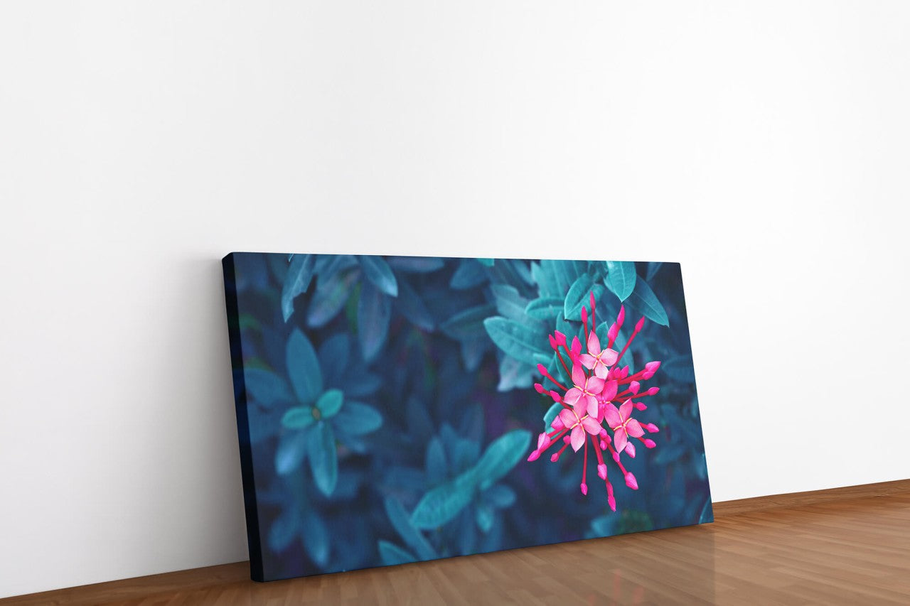 shutterstock_1439541782TwfFqLu4qD245_1280x1280.jpg