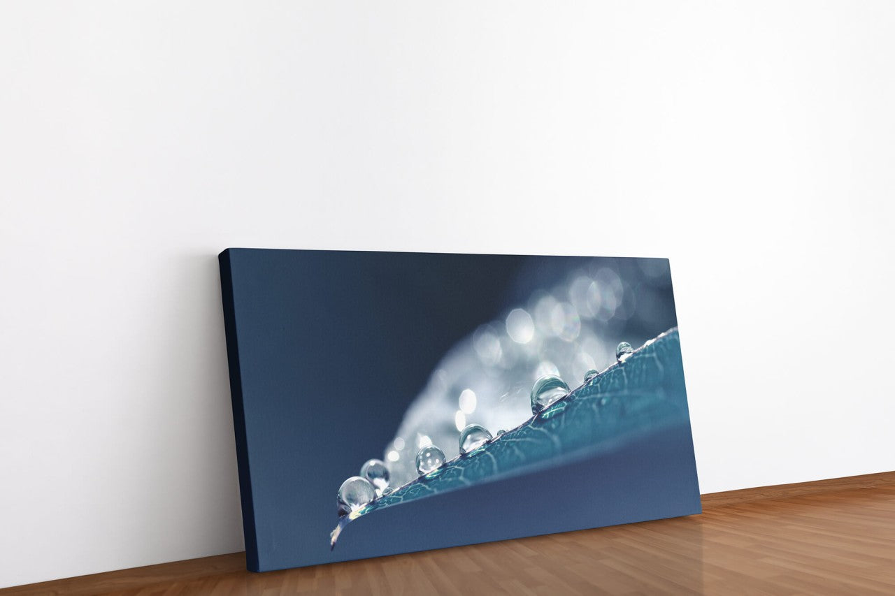 shutterstock_1449588014Z3Jl3xpDeeuAO_1280x1280.jpg