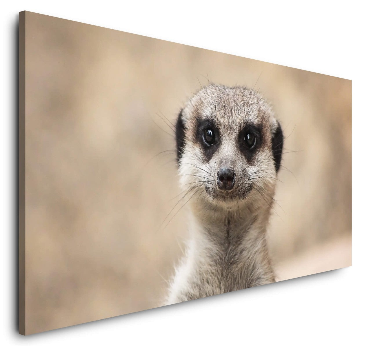 shutterstock_1459992779Mkm9NB7Wh96pT_1280x1280.jpg