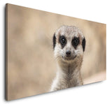 shutterstock_1459992779Mkm9NB7Wh96pT_1280x1280.jpg