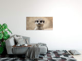shutterstock_1459992779ho8551tSLHZCi_1280x1280.jpg