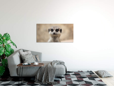 shutterstock_1459992779ho8551tSLHZCi_1280x1280.jpg