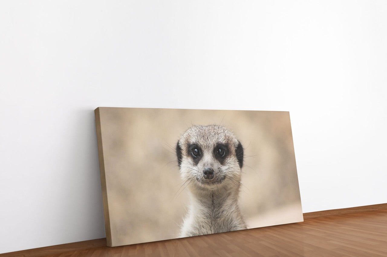 shutterstock_1459992779nX82mfoVawcjr_1280x1280.jpg