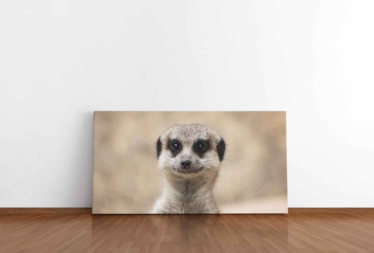 shutterstock_1459992779seqE2eeamKPF1_1280x1280.jpg