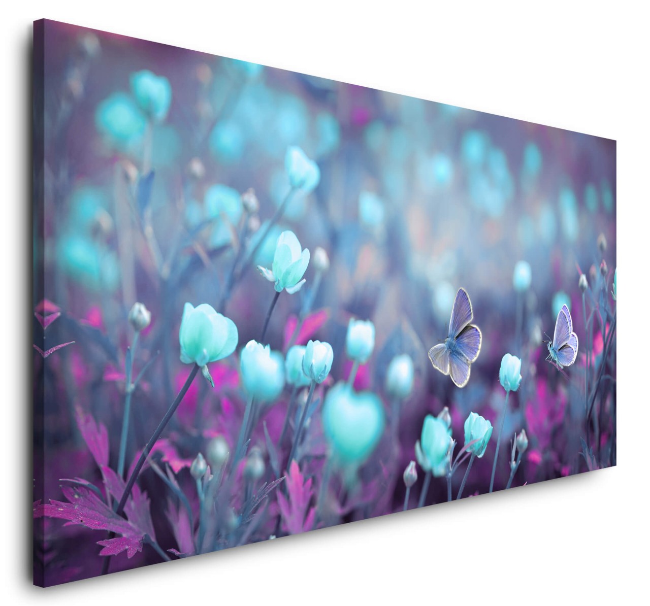 shutterstock_1461246452L8SrEbAlUs9Dr_1280x1280.jpg