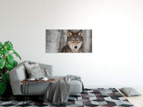 shutterstock_1464098032Ze36cU8Fc97x_1280x1280.jpg