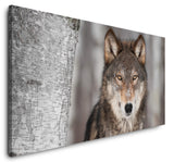 shutterstock_1464098037wBCLFqn0rp3R_1280x1280.jpg