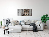 shutterstock_1464098038X86kAuiIoPqi_1280x1280.jpg
