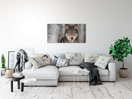 shutterstock_1464098038X86kAuiIoPqi_1280x1280.jpg