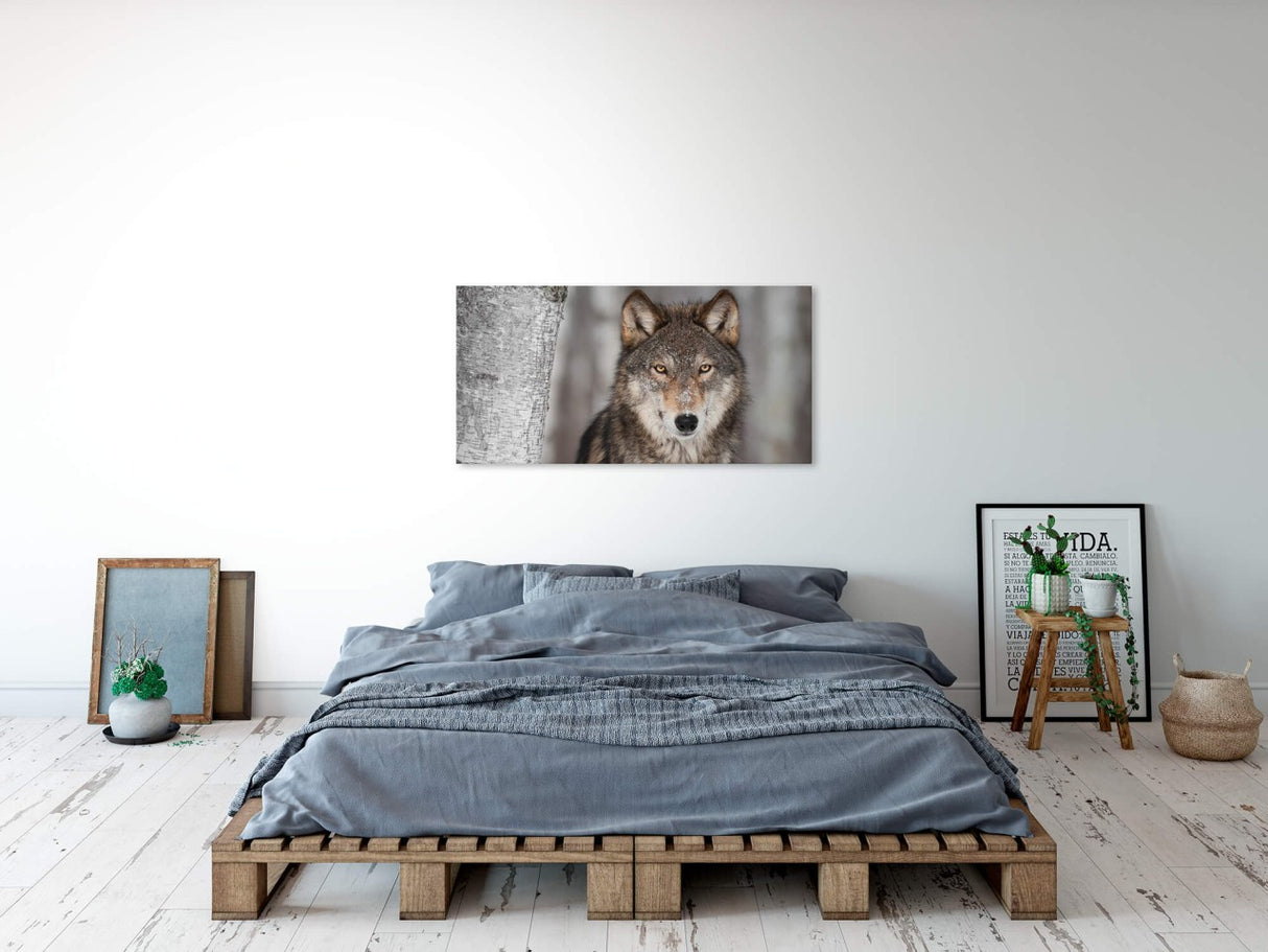 shutterstock_146409803AkufdKauzpi7Q_1280x1280.jpg