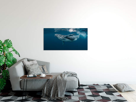 shutterstock_1464435725O6lsXQS3orHwy_1280x1280.jpg