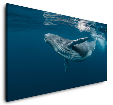 shutterstock_1464435725dCSFFYEDw2Xxs_1280x1280.jpg