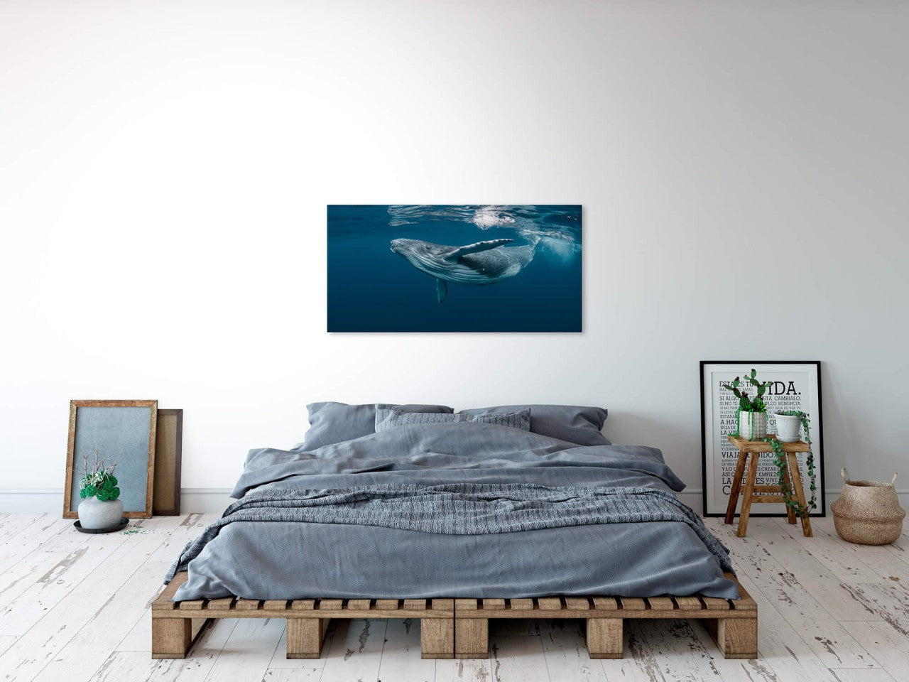 shutterstock_1464435725zm58yibmGsO7z_1280x1280.jpg